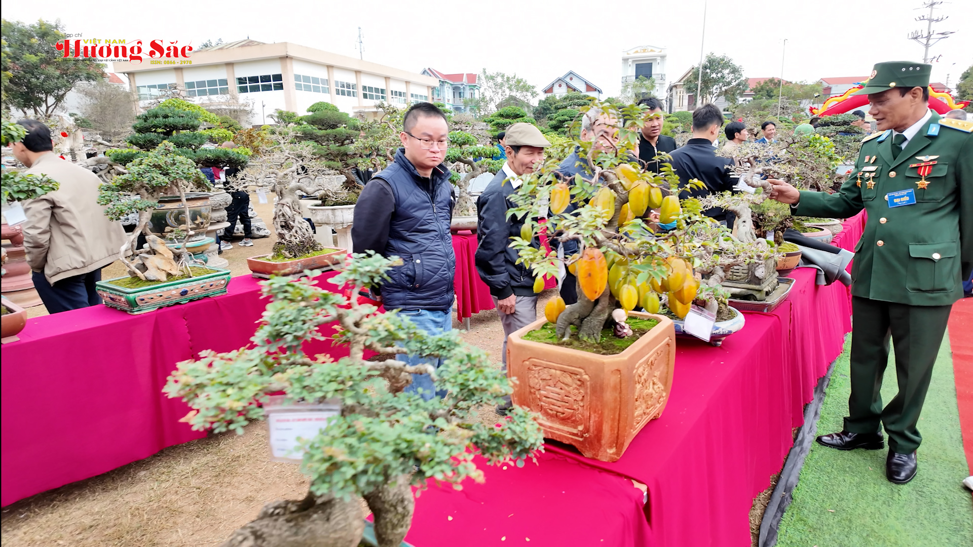 Một tác phẩm Sinh vật cảnh tại triển lãm
