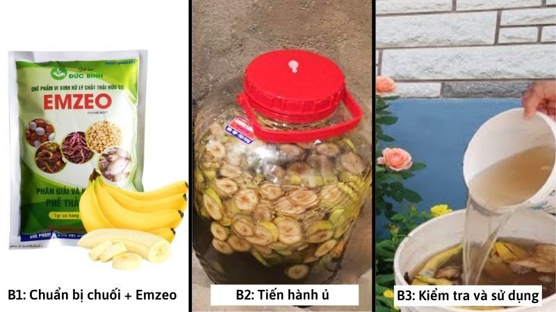 Ủ chuối làm phân tưới cho hoa hồng