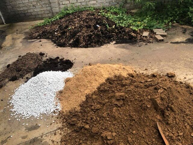 Đất để trồng hoa hồng