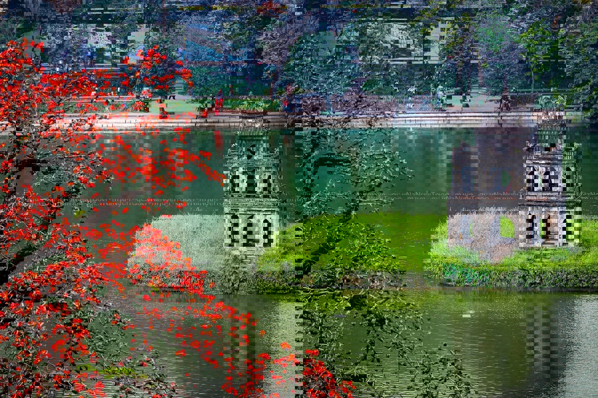 Hồ Gươm – Hệ sinh thái đô thị cần được bảo tồn trong quy hoạch di sản