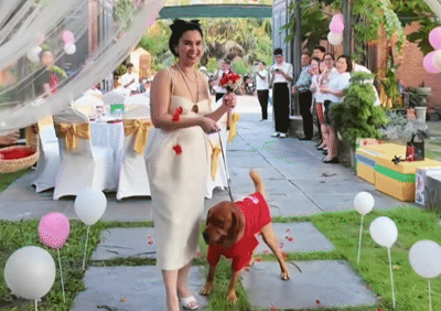 Nữ CEO nổi tiếng chi hàng chục triệu đồng mỗi tháng để nuôi chó cưng