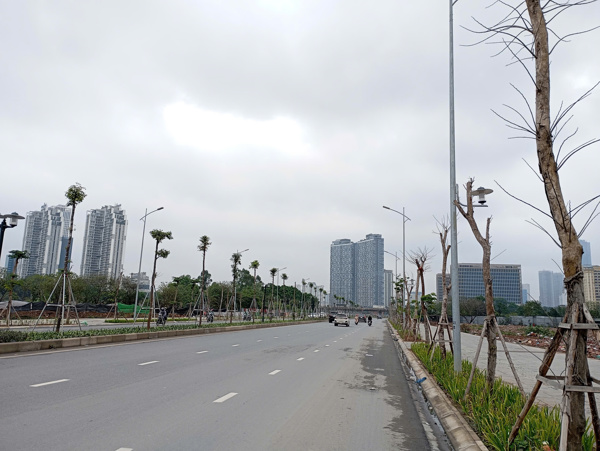 Quận Nam Từ Liêm (TP. Hà Nội): Hàng loạt cây xanh có dấu hiệu khô héo trên tuyến đường hơn 700 tỷ đồng