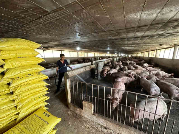 Vì sao 9 hội ngành, hàng đồng kiến nghị bỏ quy định hợp quy trong nông nghiệp?