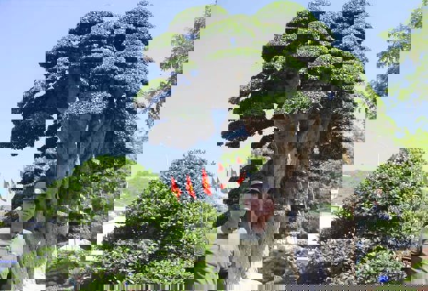 Sinh vật cảnh, nghề làm chơi ăn thật