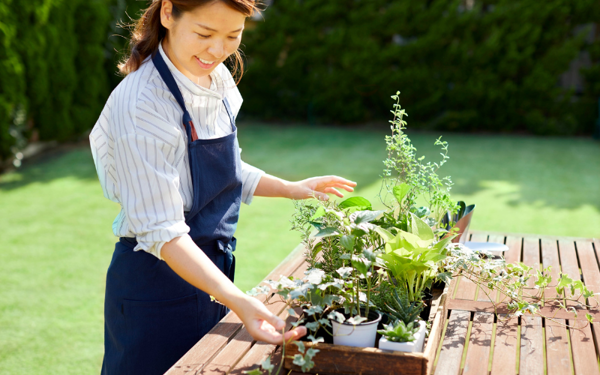 4 sai lầm trồng cây phong thủy trong nhà khiến gia chủ gặp 