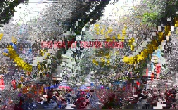 Tết này Hà Nội có 70 chợ hoa xuân