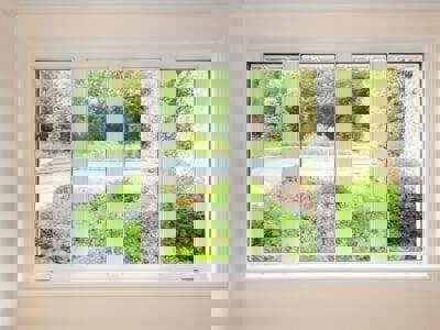 Kỹ thuật trồng hoa Mao Lương