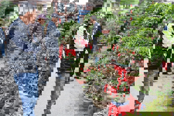 Phát triển Kinh tế sinh vật cảnh trong chiến lược phát triển nông nghiệp, nông thôn bền vững