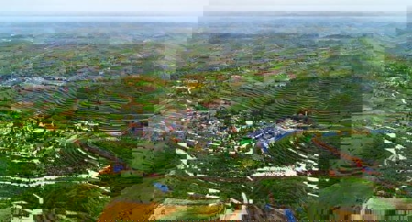 Làng nghèo nhất Trung Quốc đổi đời nhờ nông nghiệp xanh