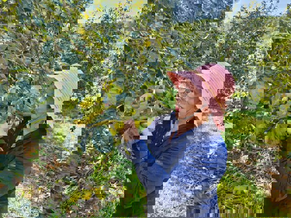 Hà Tĩnh: Chuyển đổi cây trồng đem lại hiệu quả kinh tế cao người dân miền núi