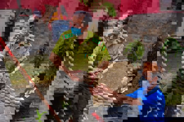 Thành phố Hồ Chí Minh đưa 62 cá thể rùa quý hiếm ở chùa về trạm cứu hộ