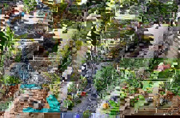 Kỹ thuật chăm sóc cây xanh sân vườn