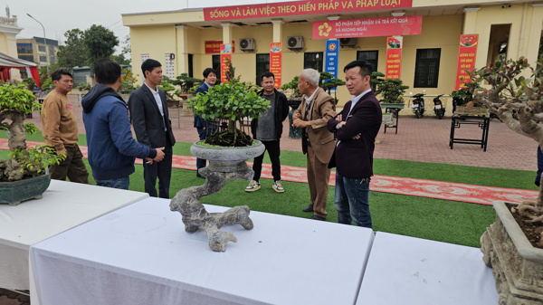 Hội Sinh vật cảnh xã Hương Ngải trưng bày sản phẩm kỷ niệm 15 năm ngày thành lập.