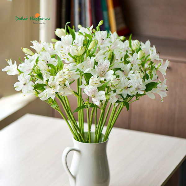 Viết cho những người hôm nay