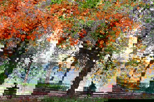 Hà Nội, Hồ Tây Chiều Thu