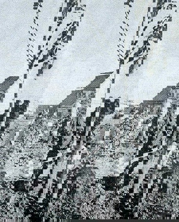 Mùa xuân là Tết trồng cây