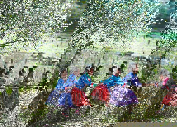 Lòng xuân phơi phới, ý xuân ngọt ngào